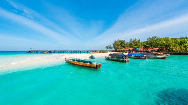 Turkish Airlines Zanzibar Office in Tanzania