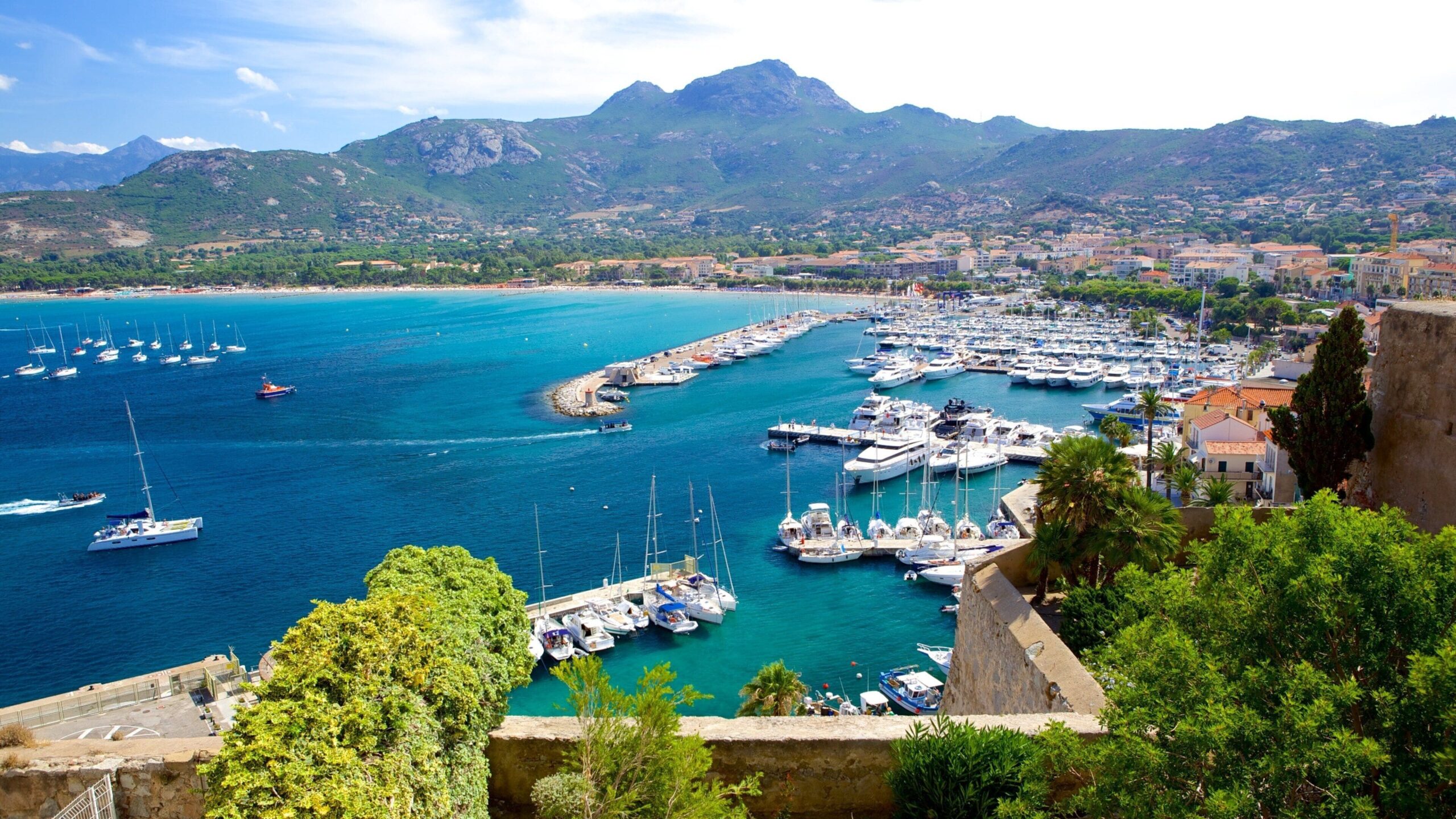 Calvi