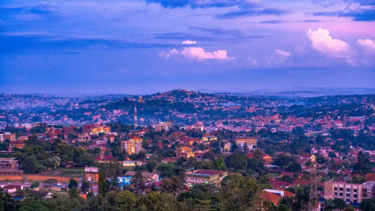Turkish Airlines Entebbe Office in Uganda