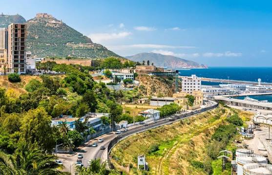 Turkish Airlines Oran Office in Algeria